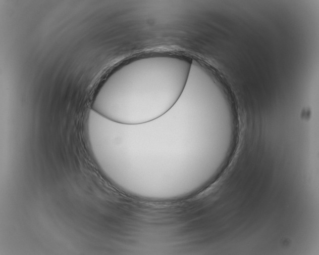 X0000113921257200909241321