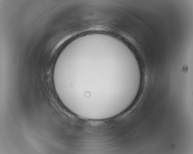 X0000113921258200909241321