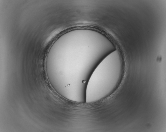 X0000113921259200909241321