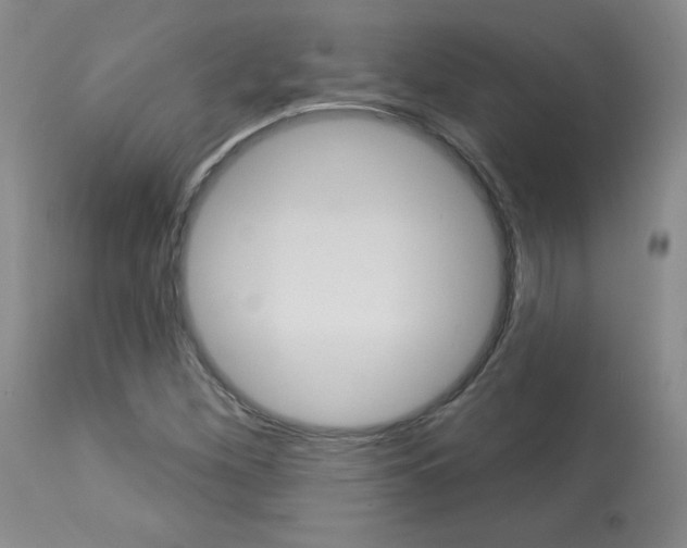 X0000113921260200909241321