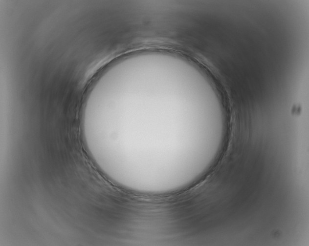 X0000113921261200909241321