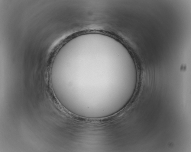 X0000113921262200909241321