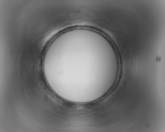X0000113921263200909241321