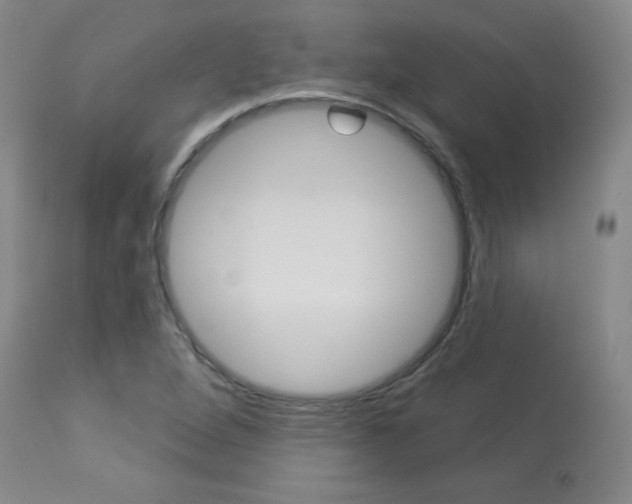 X0000113921264200909241321
