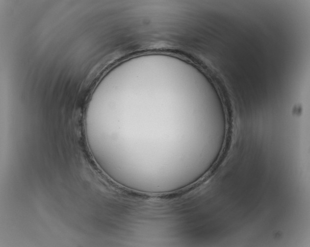 X0000113921265200909241321