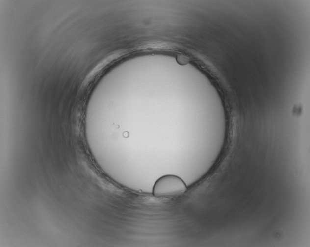 X0000113921266200909241321