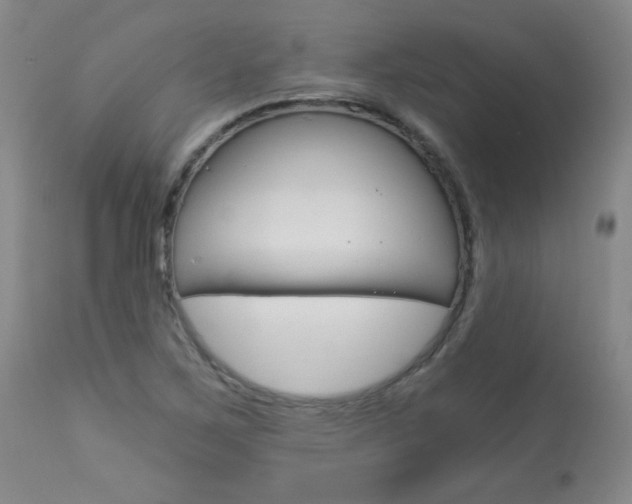 X0000113921267200909241321