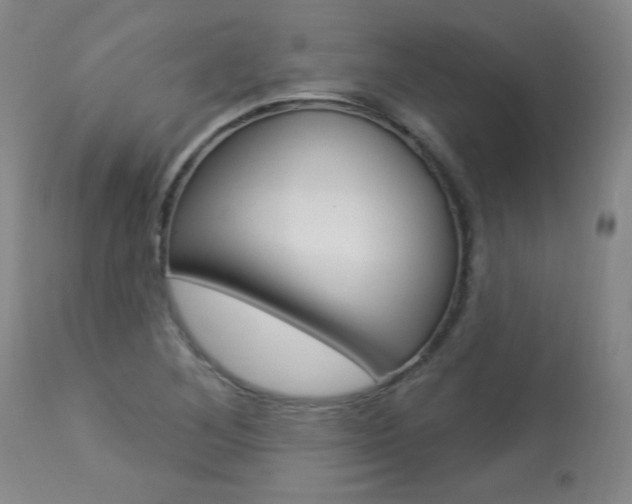 X0000113921268200909241321
