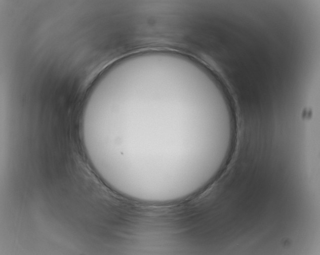 X0000113921269200909241321