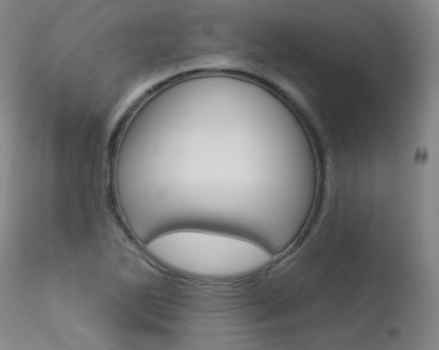 X0000113921270200909241321