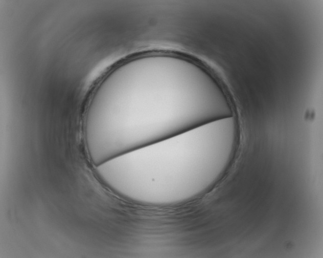 X0000113921271200909241321