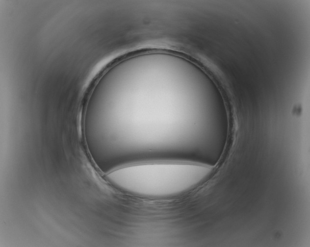 X0000113921272200909241321