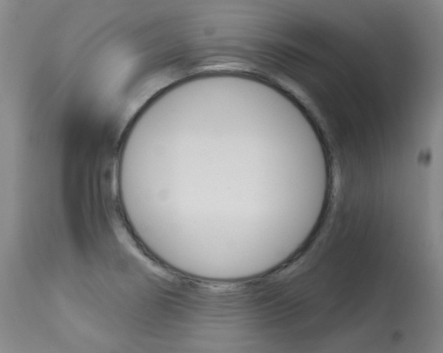 X0000113921274200909241320