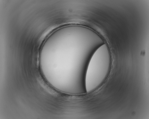 X0000113921275200909241320