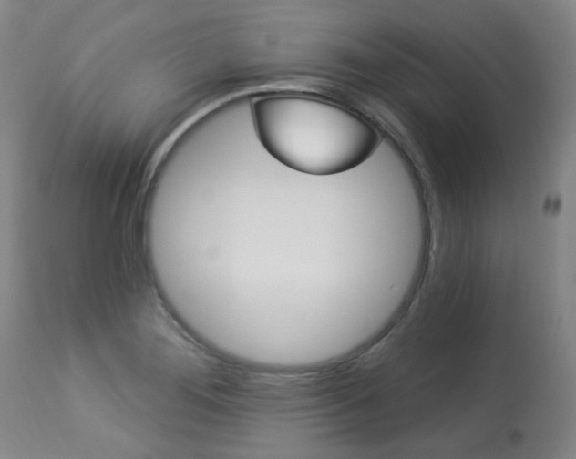 X0000113921276200909241320