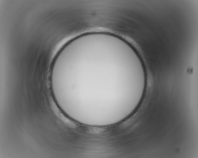X0000113921278200909241320
