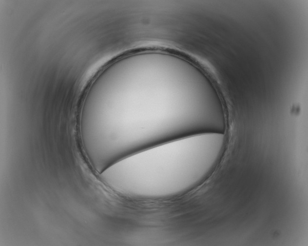 X0000113921279200909241320