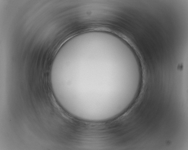 X0000113921281200909241320