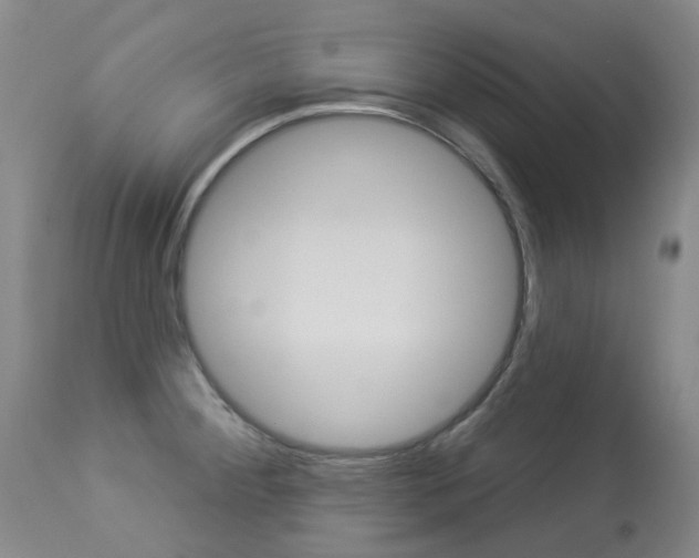 X0000113921284200909241320