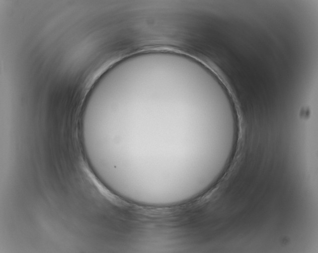 X0000113921285200909241320
