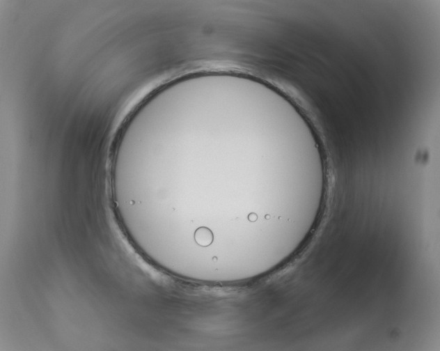 X0000113921286200909241320