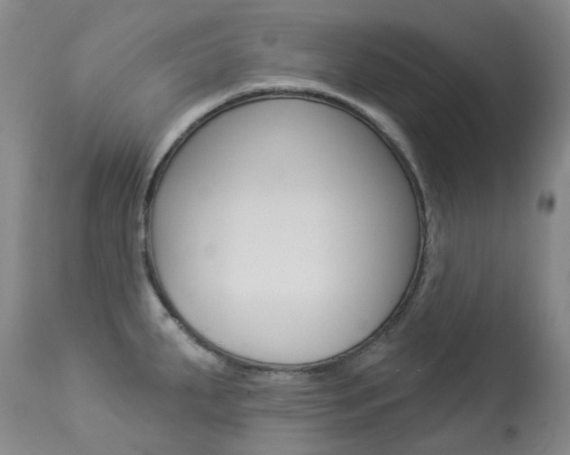 X0000113921287200909241320