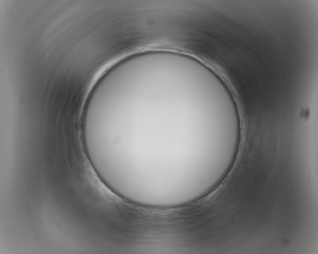 X0000113921288200909241320