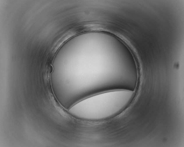 X0000113921289200909241320