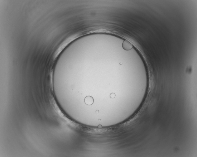 X0000113921290200909241320