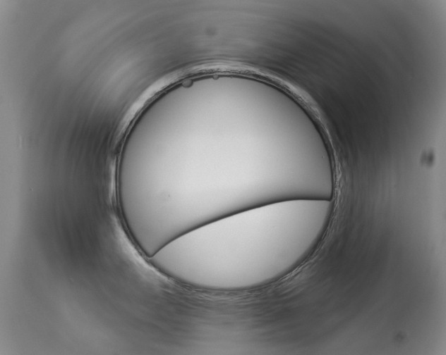 X0000113921295200909241320
