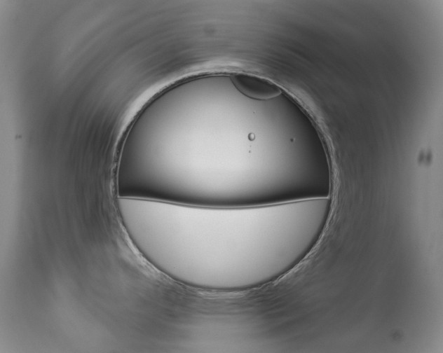 X0000113921296200909241320