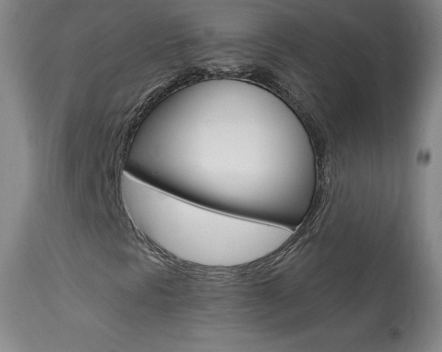 X0000113921297200909241319