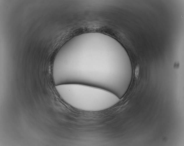 X0000113921299200909241319