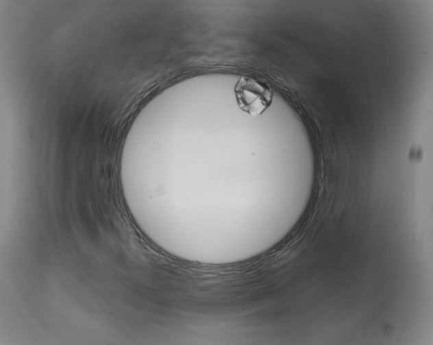 X0000113921300200909241319