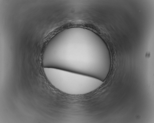 X0000113921301200909241319
