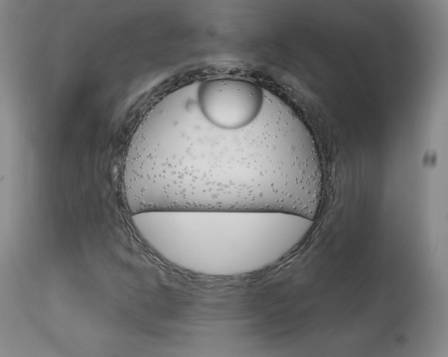 X0000113921302200909241319