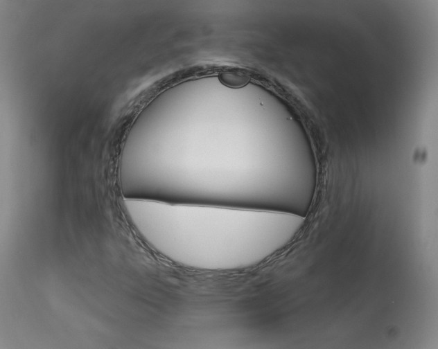X0000113921303200909241319