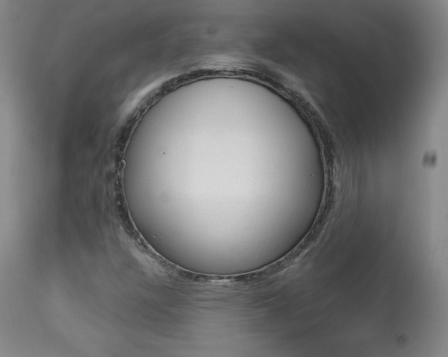 X0000113921304200909241319