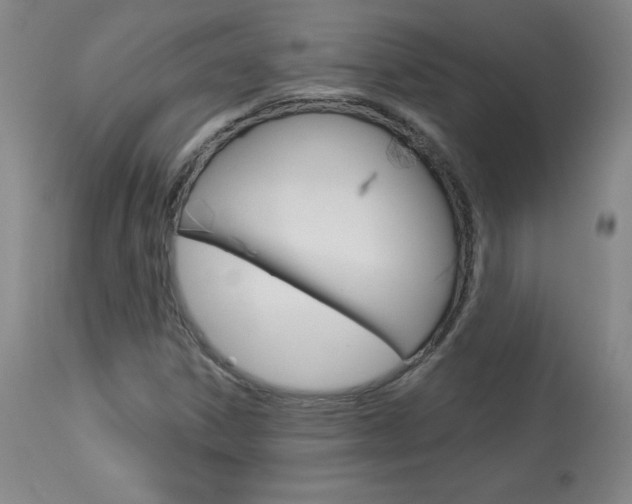 X0000113921306200909241319