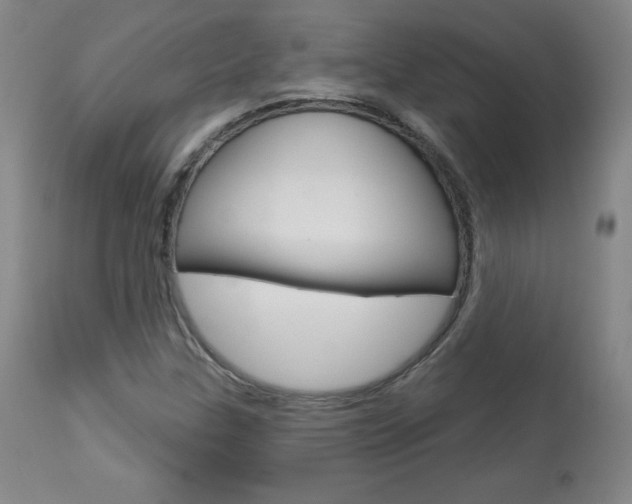 X0000113921307200909241319
