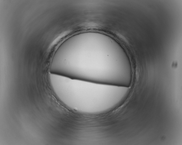 X0000113921309200909241320