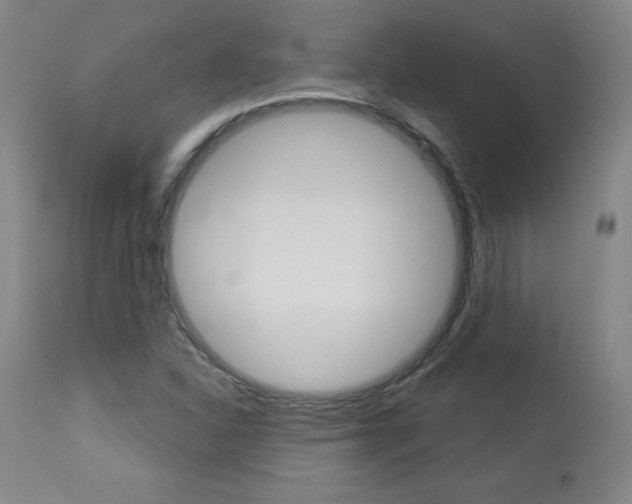 X0000113921310200909241320
