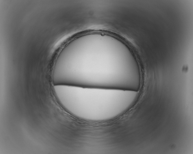 X0000113921311200909241320