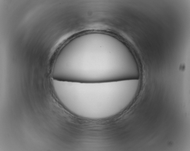 X0000113921315200909241320