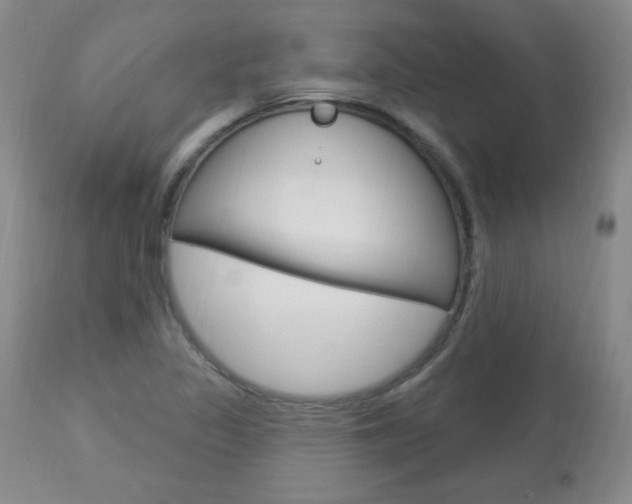 X0000113921317200909241320
