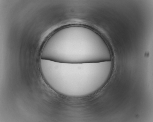 X0000113921318200909241320