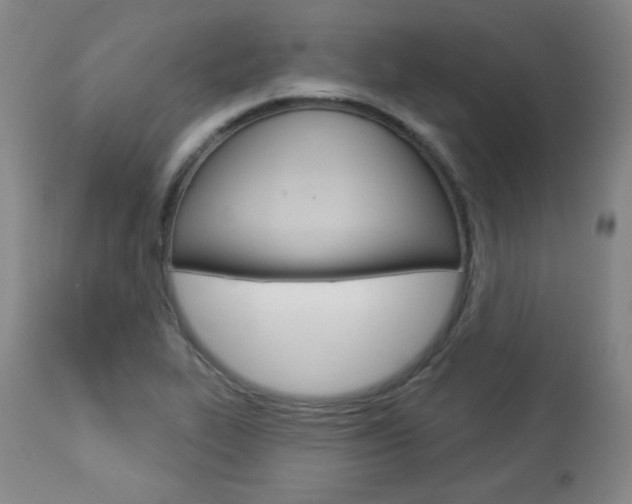 X0000113921319200909241320