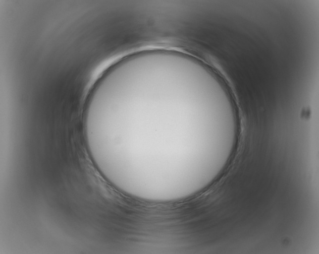 X0000113921320200909241320