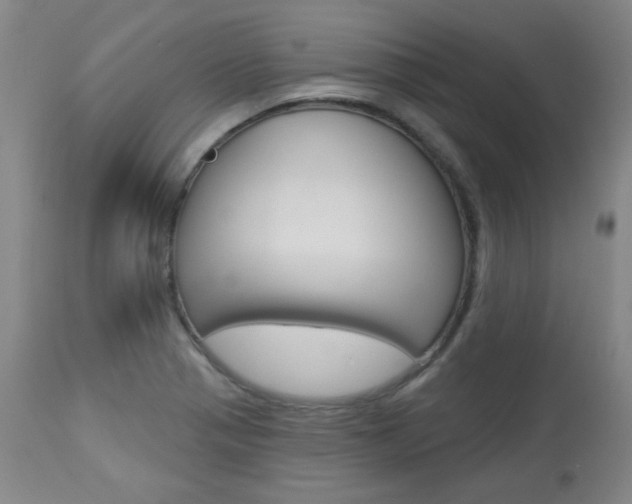 X0000113921321200909241320