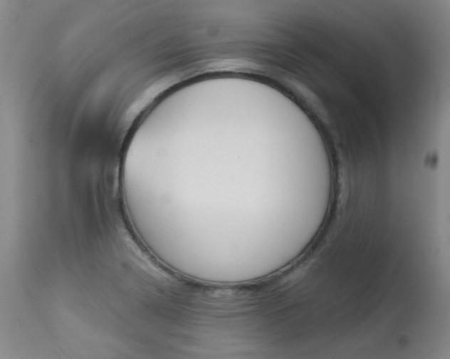 X0000113921322200909241320